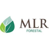 logo-mlr-forestal